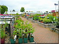 Squires Garden Centre plant area