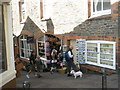 Willow in Queen Street, Lynton