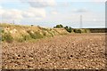 Disused quarry