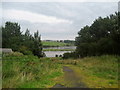 Descending to the Wansbeck Estuary