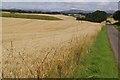 Harvest about ready near Blairyfeddon