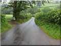 Lane heading down to Pont Felin-fach