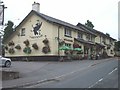 The Black Griffin, Lisvane