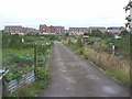 Birchgrove Allotments, Cardiff