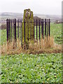 Dogton Class III Pictish Cross Slab