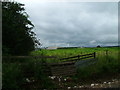 Across the field to the Gypsum Works