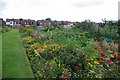 Allotments looking East