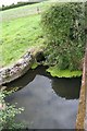 Weir  off the brook