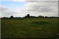 Across the field to Brook house