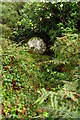 Wayside cross, near Trengwainton Carn