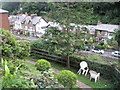 Looking across from Watersmeet to Tors Road