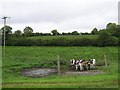 Cloon Townland