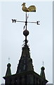 Tollbooth Steeple weather vane