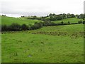 Leambreslen Townland