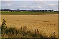 View of Turfbeg, Forfar