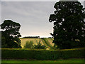 Looking north west from Etal Castle