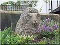 Sheep sculpture, Pound Street, Moretonhampstead