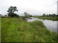 NY3657 : River Eden near Grinsdale by Oliver Dixon