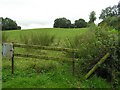 Magonragh Townland