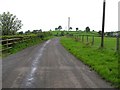 Road at Derryhillagh