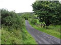 Road at Ballydoolagh