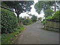 Lane in Crosby-on-Eden