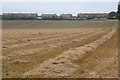 Looking up the field to Shotley houses on the skyline