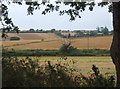 Glimpse across fields towards Shotley