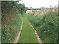 Footpath between Wade