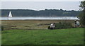 TM2237 : Field with two horses, overlooking the Orwell by Andrew Hill