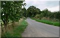 Dadlington Lane towards Stapleton