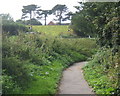 Footpath below a corner in the B1456 to Shotley