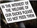 Do not feed our ducks