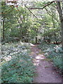 Permissive footpath on Moorend Common