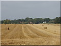 Stubble and straw bales by Moor Wood