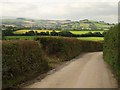 Lane near Broadhempston