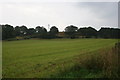 Tauch Hill from Kintore