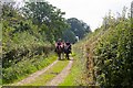 SU4737 : Bridleway east of West Stoke Farm by Peter Facey