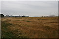 Strathray Farm across barley field