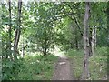 Footpath off Stratton Park, Rastrick