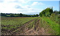 Footpath on the field edge