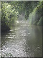 The River Thame by Hurst Water Meadow