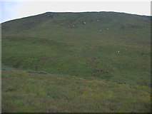 NN3384 : Spot height 443 - Meall a' Chail by ian shiell