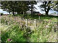 Stile into lane behind High Royds Farm