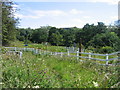 Footpath level crossing near Tullybreck