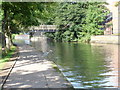 Nottingham Canal - Footbridge and Heron