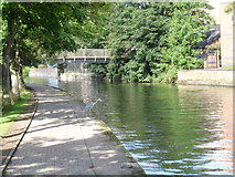 SK5639 : Nottingham Canal - Footbridge and Heron by Oxymoron