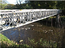 NY7964 : Bridge over the River Allen (3) by Mike Quinn