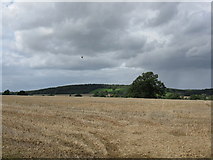 SO6741 : Stubble near The Nelmes by Peter Whatley