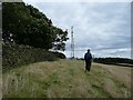 Approaching the telecommunication mast on Hoylandswaine Height